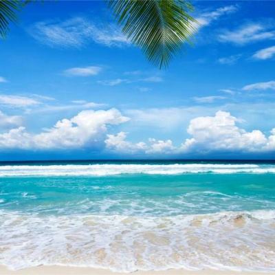 722cc大发彩神手机app下载