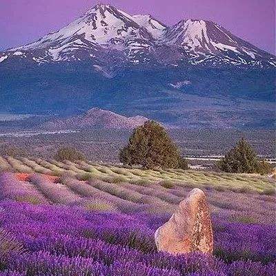 IM体育官网登录入口